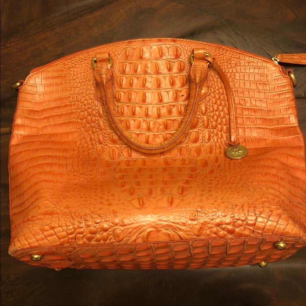 Brahmin